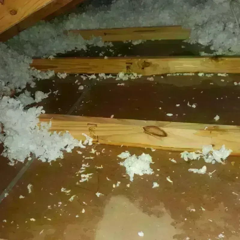 Attic Water Damage in East Chattanooga, TN